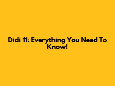 Didi 11: Everything You Need To Know!