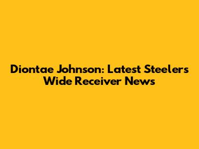Diontae Johnson: Latest Steelers Wide Receiver News