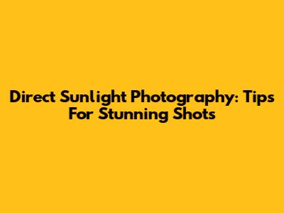 Direct Sunlight Photography: Tips For Stunning Shots