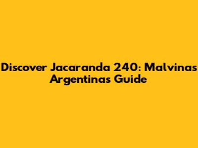 Discover Jacaranda 240: Malvinas Argentinas Guide