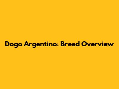 Dogo Argentino: Breed Overview