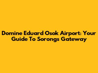 Domine Eduard Osok Airport: Your Guide To Sorong's Gateway