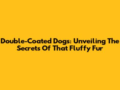 Double-Coated Dogs: Unveiling The Secrets Of That Fluffy Fur
