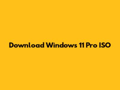 Download Windows 11 Pro ISO