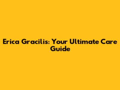 Erica Gracilis: Your Ultimate Care Guide