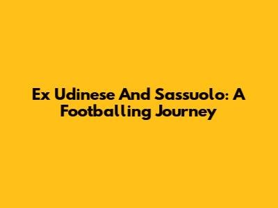 Ex Udinese And Sassuolo: A Footballing Journey