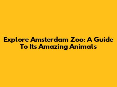 Explore Amsterdam Zoo: A Guide To Its Amazing Animals