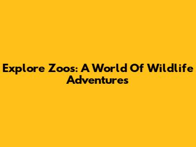 Explore Zoos: A World Of Wildlife Adventures