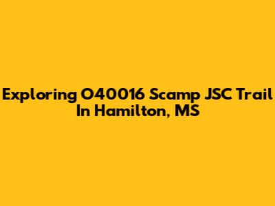 Exploring O40016 Scamp JSC Trail In Hamilton, MS
