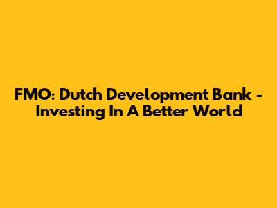 FMO: Dutch Development Bank - Investing In A Better World
