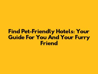 Find Pet-Friendly Hotels: Your Guide For You And Your Furry Friend