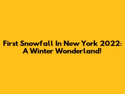 First Snowfall In New York 2022: A Winter Wonderland!