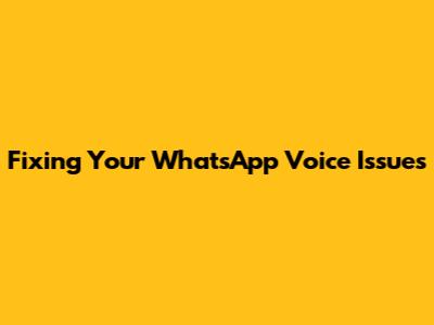 Fixing Your WhatsApp Voice Issues