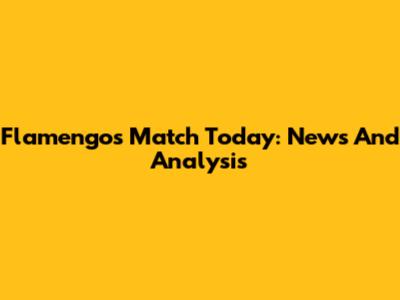 Flamengo's Match Today: News And Analysis