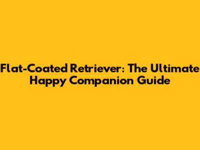 Flat-Coated Retriever: The Ultimate Happy Companion Guide
