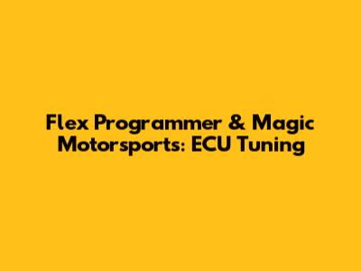 Flex Programmer & Magic Motorsports: ECU Tuning