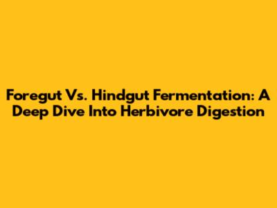 Foregut Vs. Hindgut Fermentation: A Deep Dive Into Herbivore Digestion