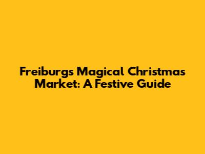 Freiburg's Magical Christmas Market: A Festive Guide