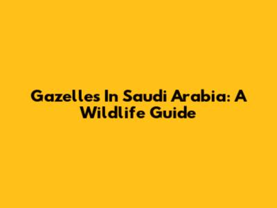 Gazelles In Saudi Arabia: A Wildlife Guide