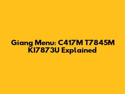 Giang Menu: C417M T7845M KI7873U Explained