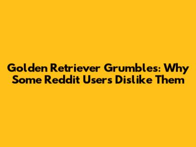 Golden Retriever Grumbles: Why Some Reddit Users Dislike Them