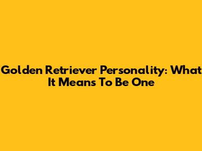 Golden Retriever Personality: What It Means To Be One