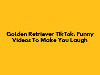 Golden Retriever TikTok: Funny Videos To Make You Laugh