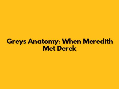 Grey's Anatomy: When Meredith Met Derek