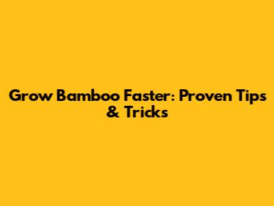 Grow Bamboo Faster: Proven Tips & Tricks