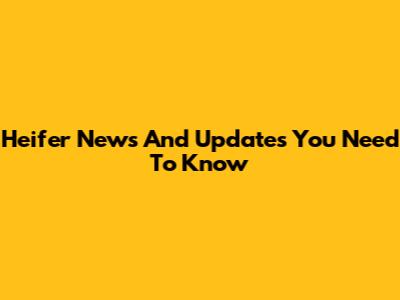 Heifer News And Updates You Need To Know