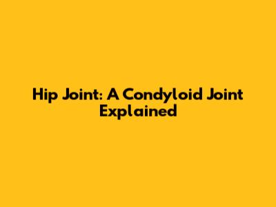 Hip Joint: A Condyloid Joint Explained