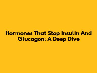 Hormones That Stop Insulin And Glucagon: A Deep Dive