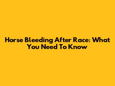 Horse Bleeding After Race: What You Need To Know