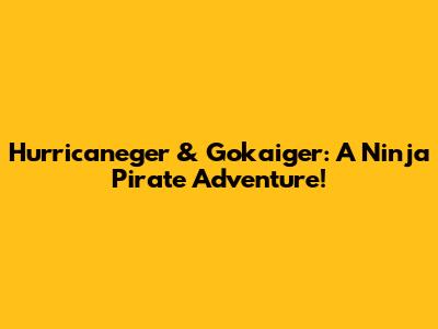 Hurricaneger & Gokaiger: A Ninja Pirate Adventure!