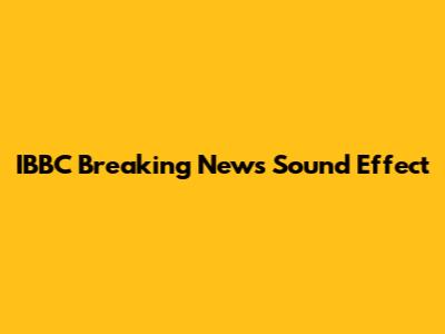 IBBC Breaking News Sound Effect