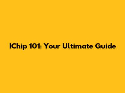 IChip 101: Your Ultimate Guide