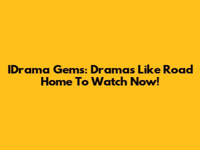 IDrama Gems: Dramas Like Road Home To Watch Now!