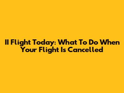 II Flight Today: What To Do When Your Flight Is Cancelled