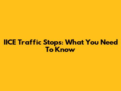 IICE Traffic Stops: What You Need To Know