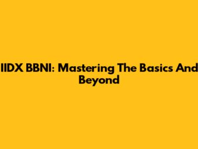 IIDX BBNI: Mastering The Basics And Beyond