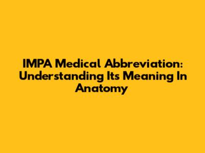IMPA Medical Abbreviation: Understanding Its Meaning In Anatomy