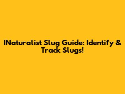 INaturalist Slug Guide: Identify & Track Slugs!