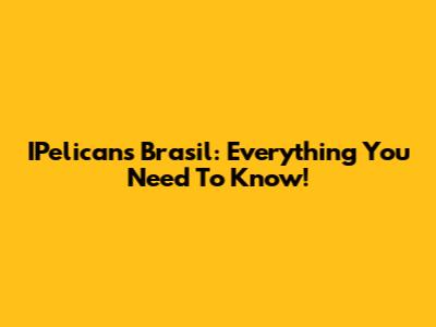 IPelicans Brasil: Everything You Need To Know!
