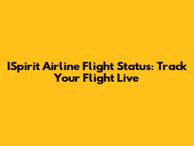 ISpirit Airline Flight Status: Track Your Flight Live