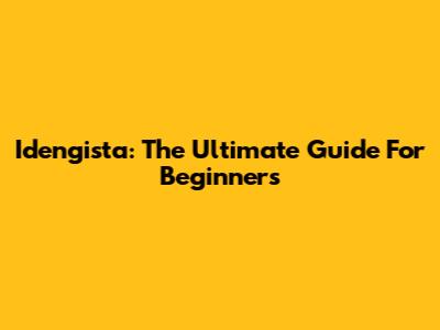 Idengista: The Ultimate Guide For Beginners