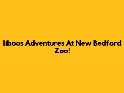 Iiboo's Adventures At New Bedford Zoo!