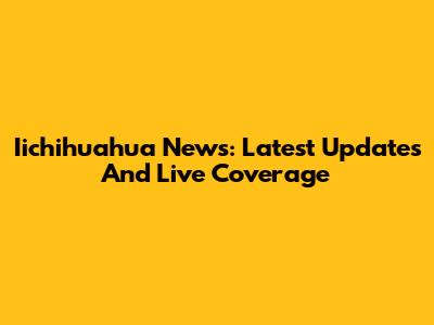 Iichihuahua News: Latest Updates And Live Coverage