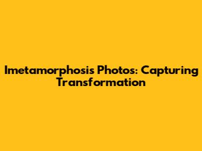 Imetamorphosis Photos: Capturing Transformation
