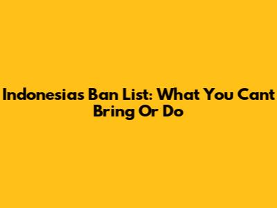 Indonesia's Ban List: What You Can't Bring Or Do