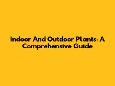 Indoor And Outdoor Plants: A Comprehensive Guide